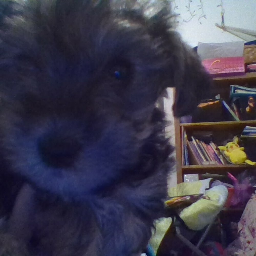 Meet your Posher, Soccercatella